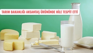 TARIM BAKANLIĞI AKSANTAŞ ÜRÜNÜNDE HİLE TESPİT ETTİ 